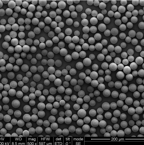 C18 填料/球型 20-45μm 100Å